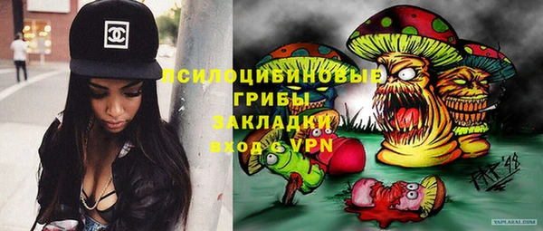 спайс Козловка